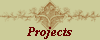 Projects